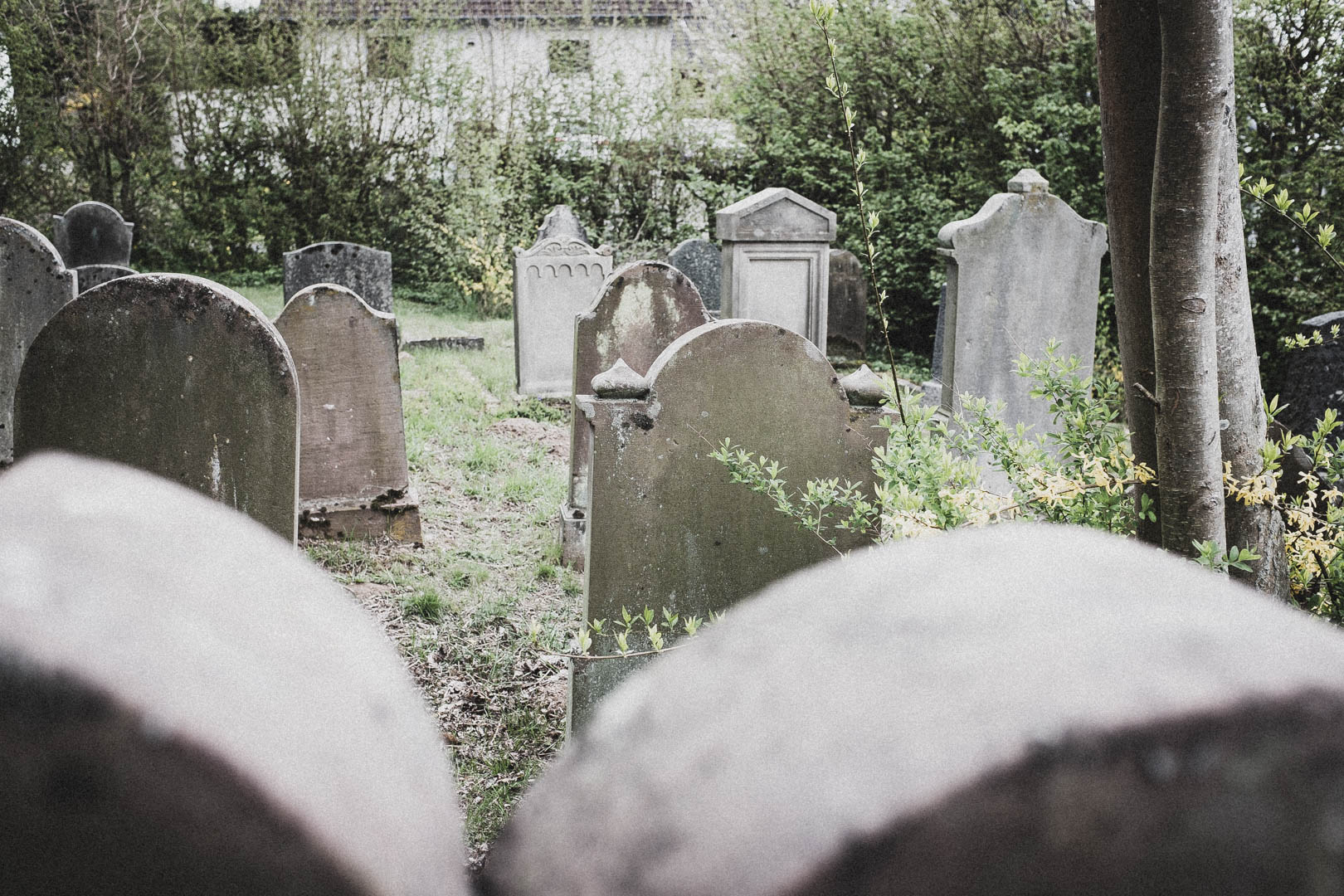 Bad Zwesten, Jüdischer Friedhof